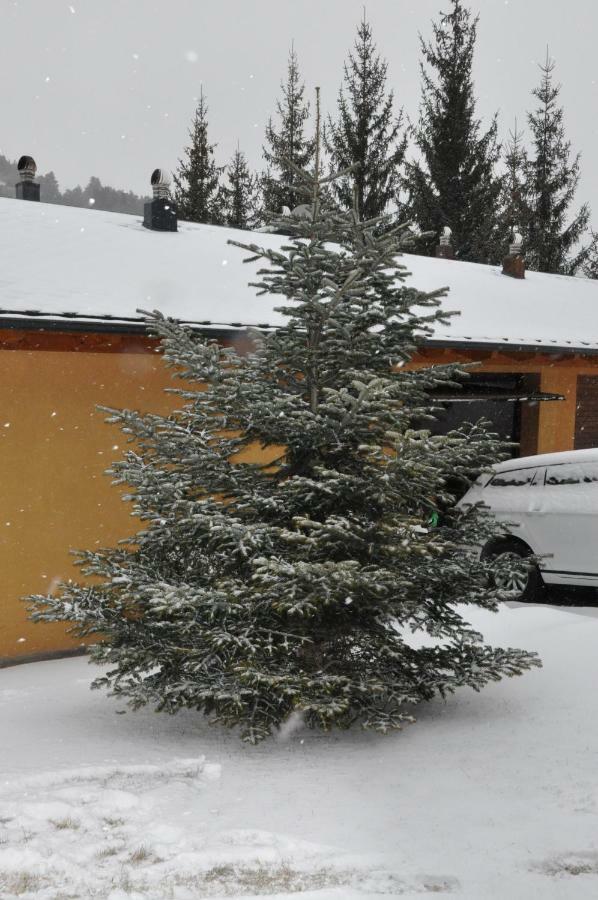 فيلا Casa En La Molina لا مولينا المظهر الخارجي الصورة